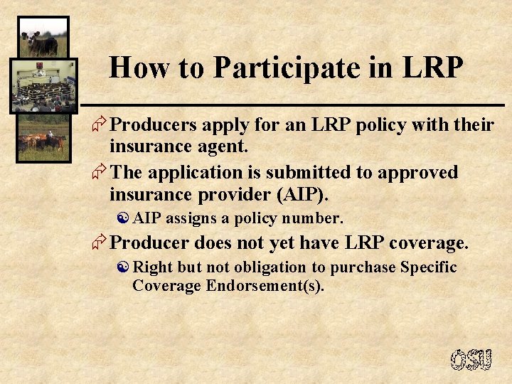 How to Participate in LRP Æ Producers apply for an LRP policy with their