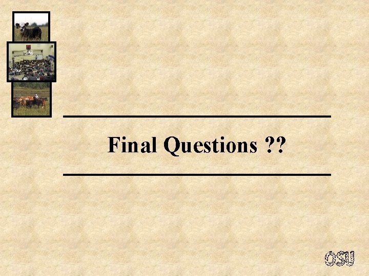 Final Questions ? ? 