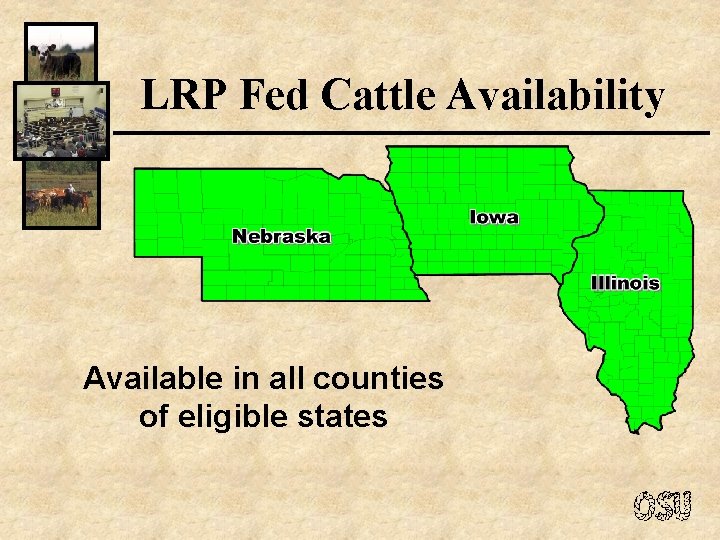 LRP Fed Cattle Availability Available in all counties of eligible states 