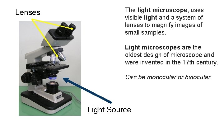 Lenses The light microscope, uses visible light and a system of lenses to magnify