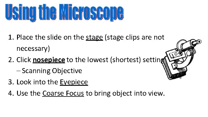 1. Place the slide on the stage (stage clips are not necessary) 2. Click
