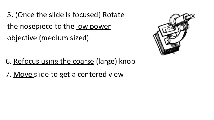 5. (Once the slide is focused) Rotate the nosepiece to the low power objective