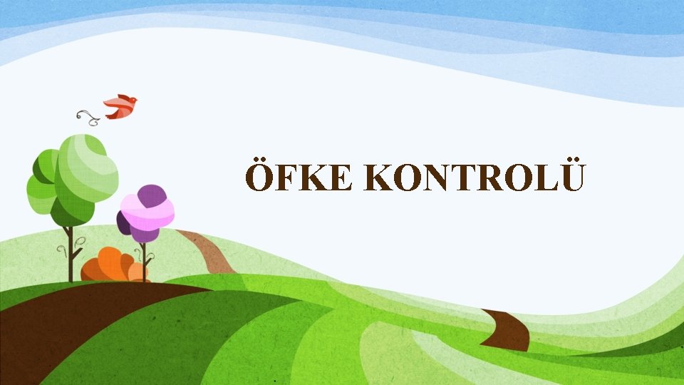 ÖFKE KONTROLÜ 