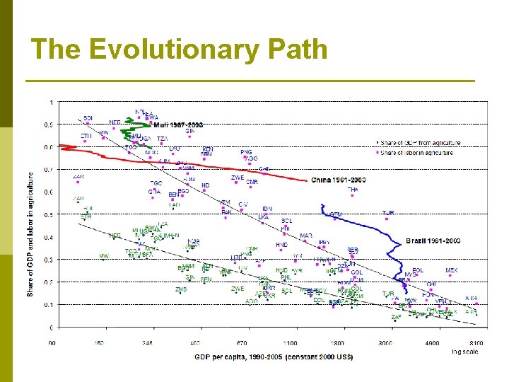 The Evolutionary Path 