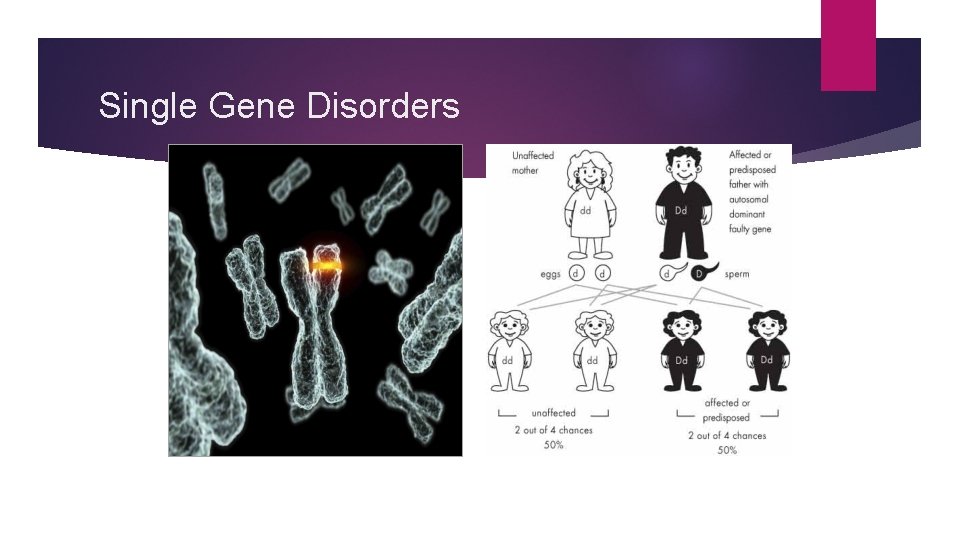 Single Gene Disorders 