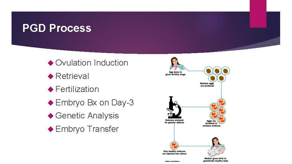 PGD Process Ovulation Induction Retrieval Fertilization Embryo Bx on Day-3 Genetic Analysis Embryo Transfer