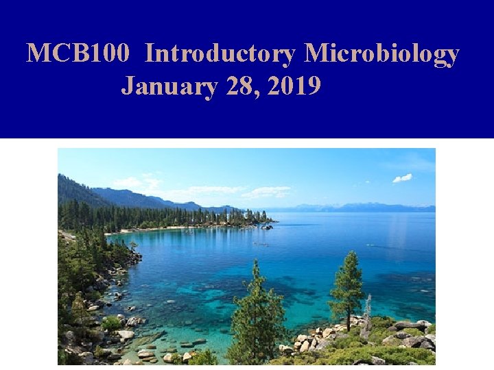 MCB 100 Introductory Microbiology January 28, 2019 