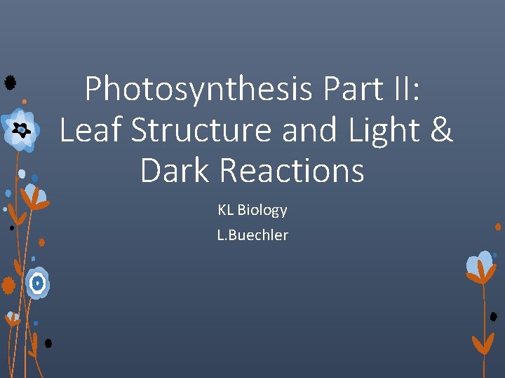 Photosynthesis Part II: Leaf Structure and Light & Dark Reactions KL Biology L. Buechler