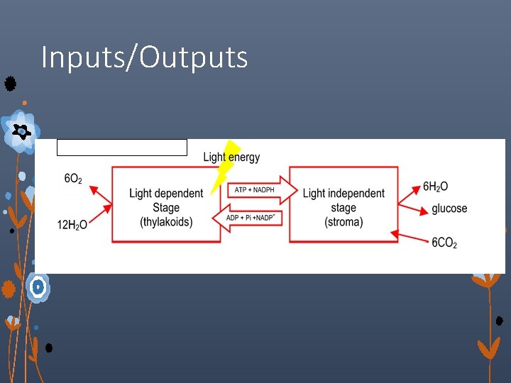 Inputs/Outputs 