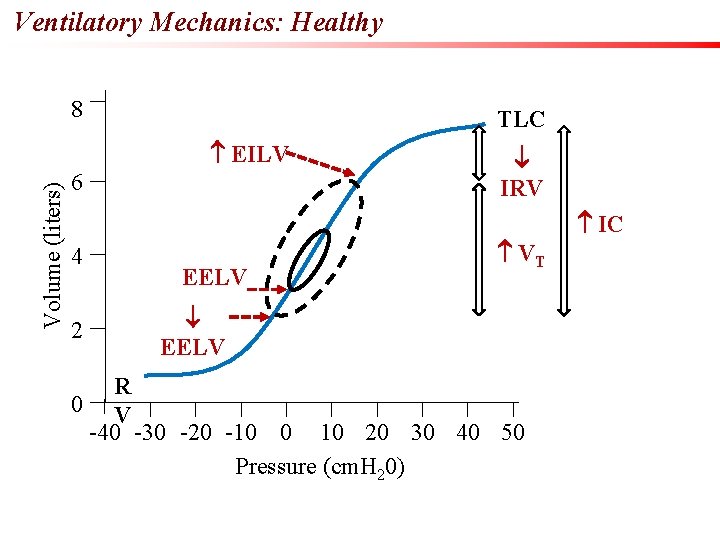Ventilatory Mechanics: Healthy 8 TLC Volume (liters) EILV 6 4 2 EELV IRV VT