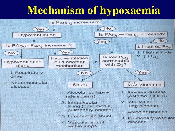 Mechanism of hypoxaemia 