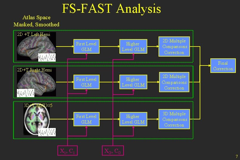 Atlas Space Masked, Smoothed FS-FAST Analysis 2 D +T Left Hemi First Level GLM