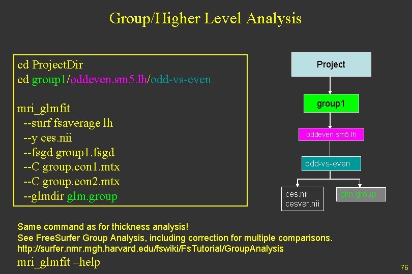 Group/Higher Level Analysis cd Project. Dir cd group 1/oddeven. sm 5. lh/odd-vs-even Project mri_glmfit