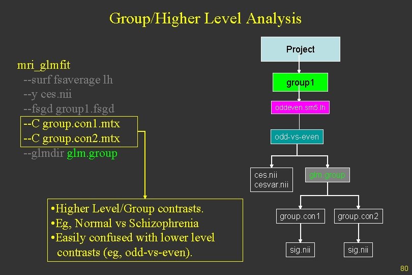 Group/Higher Level Analysis Project mri_glmfit --surf fsaverage lh --y ces. nii --fsgd group 1.