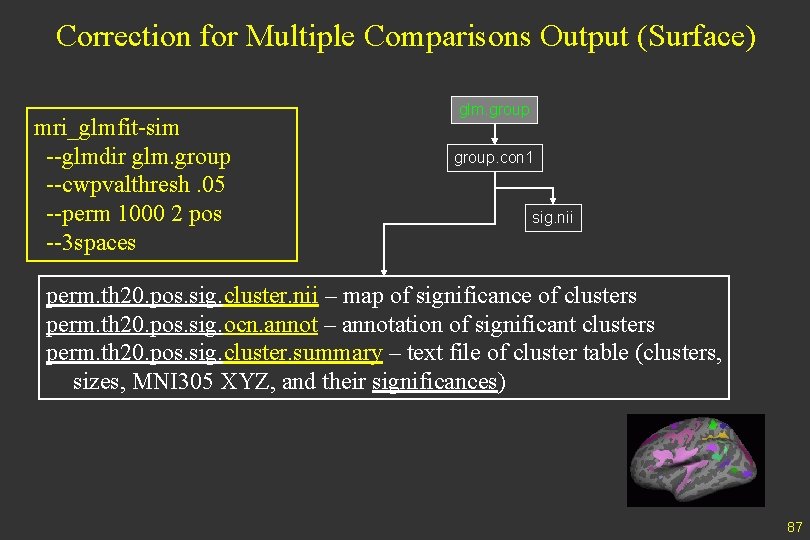 Correction for Multiple Comparisons Output (Surface) mri_glmfit-sim --glmdir glm. group --cwpvalthresh. 05 --perm 1000