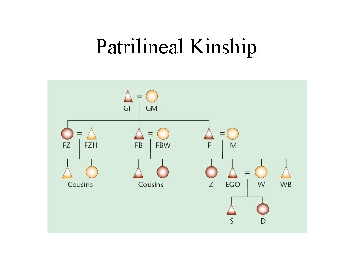 Patrilineal Kinship 