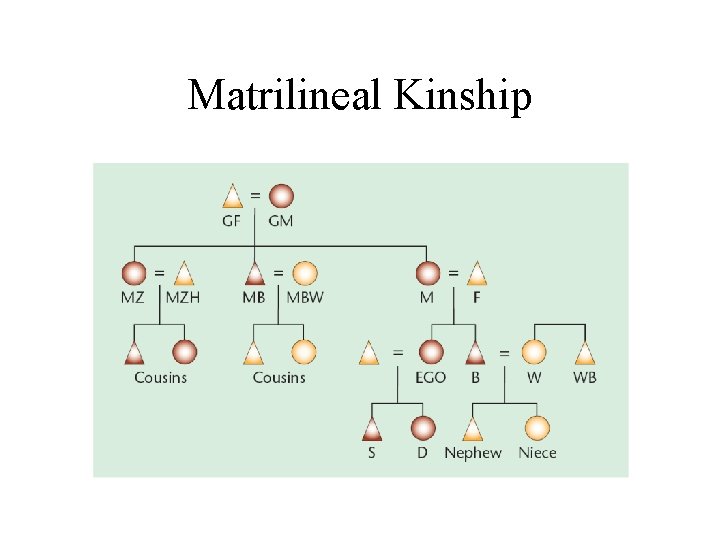 Matrilineal Kinship 