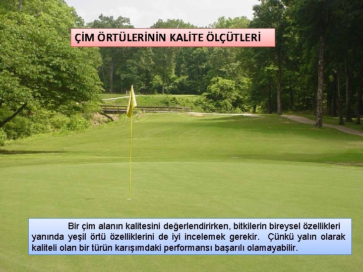 ÇİM ÖRTÜLERİNİN KALİTE ÖLÇÜTLERİ Bir çim alanın kalitesini değerlendirirken, bitkilerin bireysel özellikleri yanında yeşil