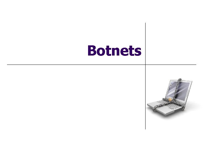 Botnets 