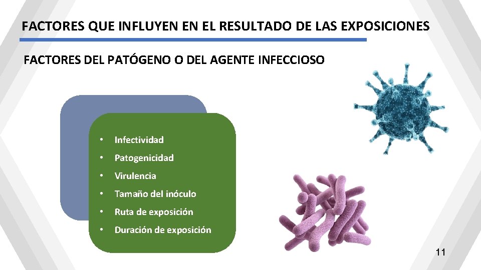 FACTORES QUE INFLUYEN EN EL RESULTADO DE LAS EXPOSICIONES FACTORES DEL PATÓGENO O DEL FACTORES QUE INFLUYEN EN EL RESULTADO DE LAS EXPOSICIONES FACTORES DEL PATÓGENO O DEL