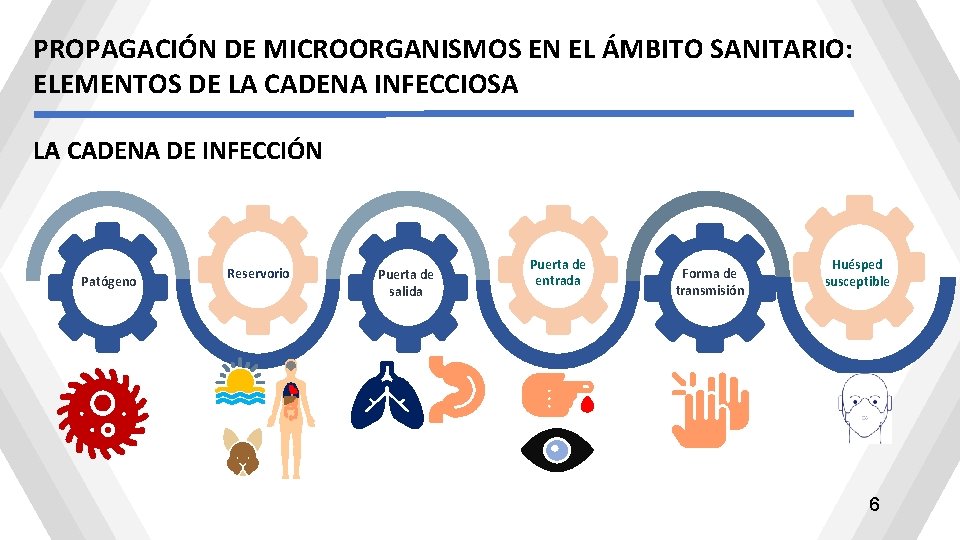PROPAGACIÓN DE MICROORGANISMOS EN EL ÁMBITO SANITARIO: ELEMENTOS DE LA CADENA INFECCIOSA LA CADENA PROPAGACIÓN DE MICROORGANISMOS EN EL ÁMBITO SANITARIO: ELEMENTOS DE LA CADENA INFECCIOSA LA CADENA