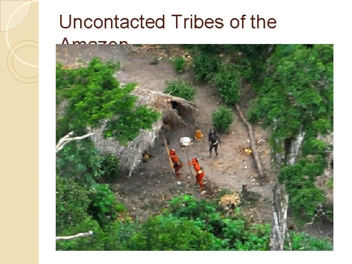 Uncontacted Tribes of the Amazon 