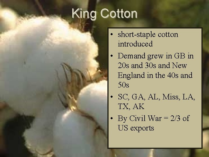 King Cotton • short-staple cotton introduced • Demand grew in GB in 20 s