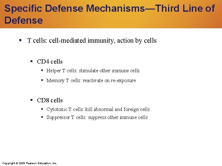 Specific Defense Mechanisms—Third Line of Defense T cells: cell-mediated immunity, action by cells CD Specific Defense Mechanisms—Third Line of Defense T cells: cell-mediated immunity, action by cells CD