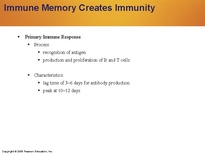Immune Memory Creates Immunity Primary Immune Response Process: recognition of antigen production and proliferation Immune Memory Creates Immunity Primary Immune Response Process: recognition of antigen production and proliferation