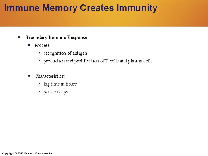 Immune Memory Creates Immunity Secondary Immune Response Process: recognition of antigen production and proliferation Immune Memory Creates Immunity Secondary Immune Response Process: recognition of antigen production and proliferation