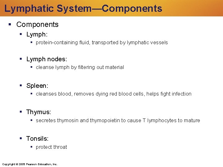 Lymphatic System—Components Lymph: protein-containing fluid, transported by lymphatic vessels Lymph nodes: cleanse lymph by Lymphatic System—Components Lymph: protein-containing fluid, transported by lymphatic vessels Lymph nodes: cleanse lymph by