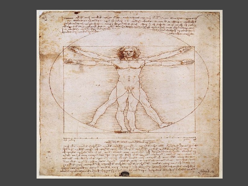 The Vitruvian Man 