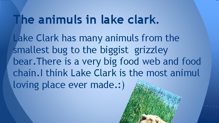 The animuls in lake clark. Lake Clark has many animuls from the smallest bug