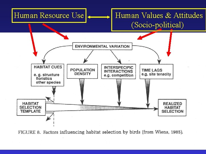 Human Resource Use Human Values & Attitudes (Socio-political) 