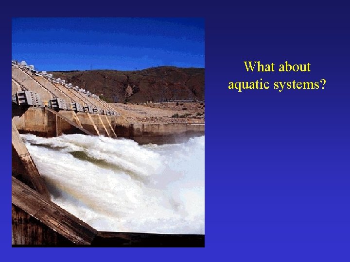 What about aquatic systems? 