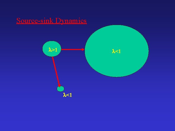 Source-sink Dynamics >1 <1 