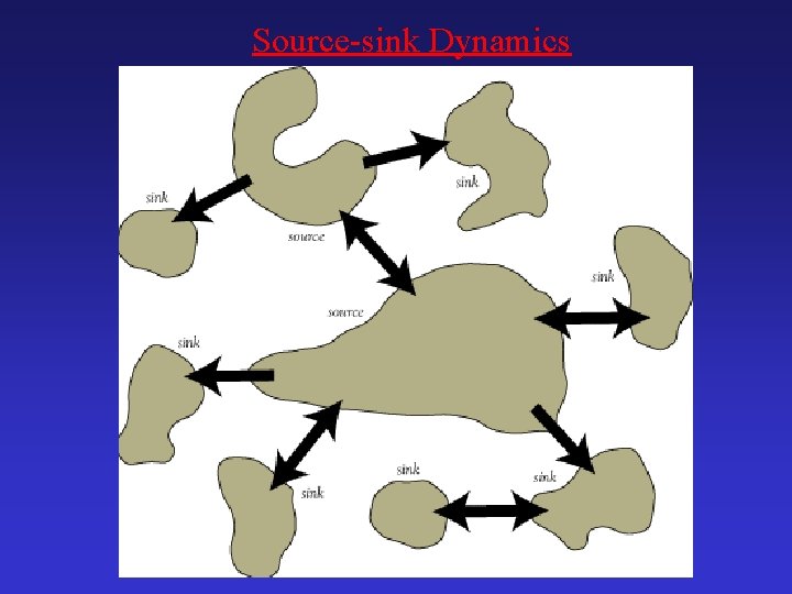 Source-sink Dynamics 