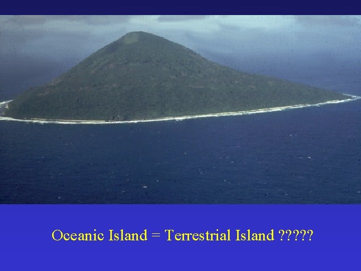 Oceanic Island = Terrestrial Island ? ? ? 