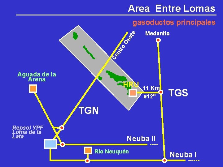 Area Entre Lomas Medanito Ce nt ro Oe st e gasoductos principales Aguada de