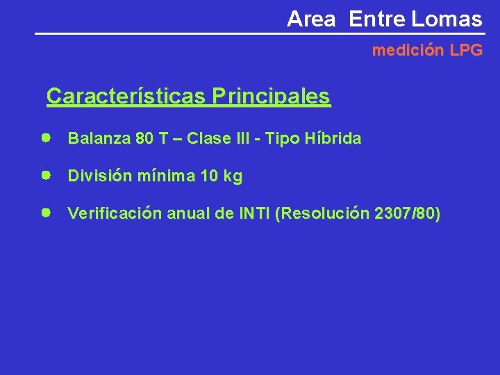 Area Entre Lomas medición LPG Características Principales Balanza 80 T – Clase III -