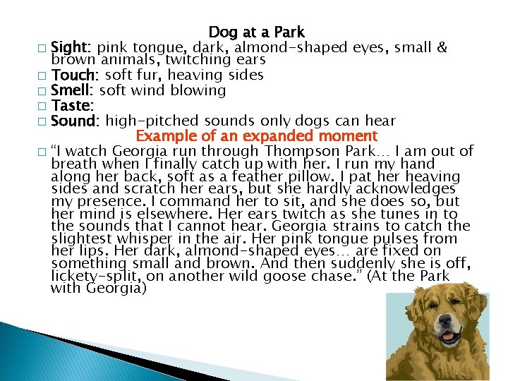 Dog at a Park � Sight: pink tongue, dark, almond-shaped eyes, small & brown