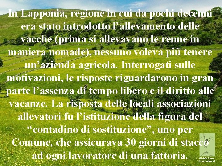 In Lapponia, regione in cui da pochi decenni era stato introdotto l’allevamento delle vacche