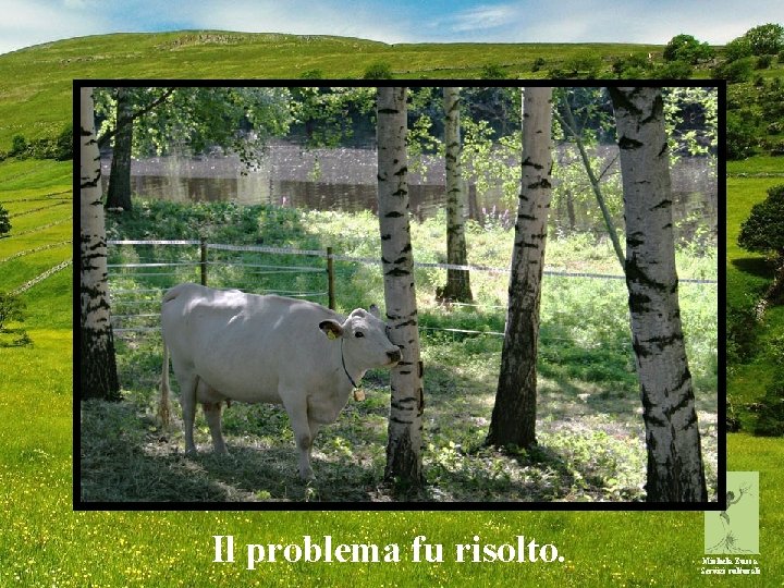 Il problema fu risolto. Michela Zucca Servizi culturali 