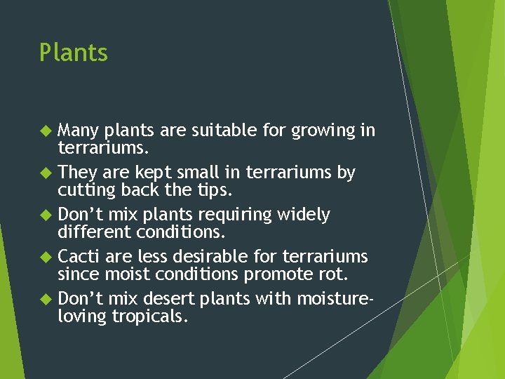 Plants Many plants are suitable for growing in terrariums. They are kept small in