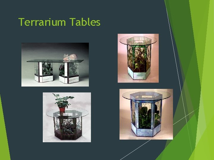 Terrarium Tables 