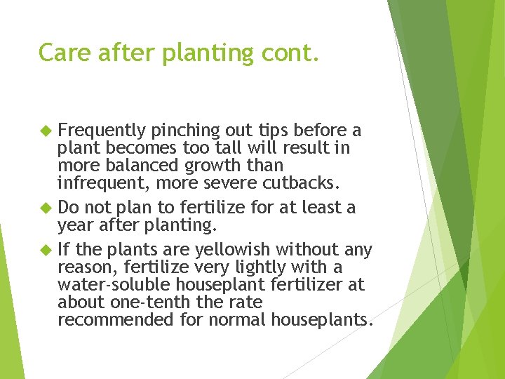 Care after planting cont. Frequently pinching out tips before a plant becomes too tall