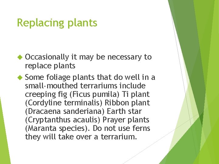 Replacing plants Occasionally it may be necessary to replace plants Some foliage plants that