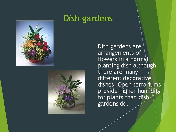 Dish gardens are arrangements of flowers in a normal planting dish although there are