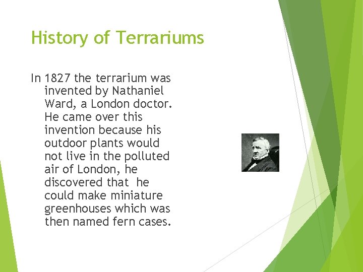 History of Terrariums In 1827 the terrarium was invented by Nathaniel Ward, a London