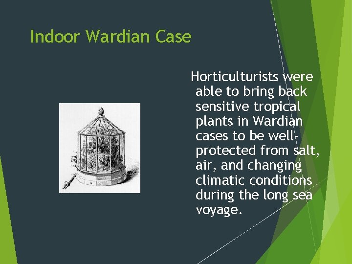 Indoor Wardian Case Horticulturists were able to bring back sensitive tropical plants in Wardian